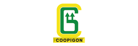 Mesa de trabajo 1 copia 13